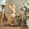 Christopher Knight Home 16" Wide Tooke Concrete Outdoor Novelty Rabbit Planter White/Brown -Outdoor Living Shop GUEST e54cd4ec 98d2 494d 8126 0ee9637498b0